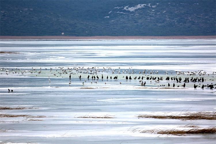 Slika /slike/Vijesti/200201 vlazna stanista.jpg